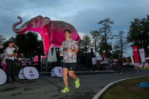 BIB: 
                            <button type="button" onclick="openModal(26529607)" class="btn btn-primary btn-sm float-right btn-popup" data-toggle="modal" data-target=".modal-high-quality">
                        <i class="fas fa-shopping-cart"></i> Add to Cart
                    </button>
                                            <button type="button" onclick="isThisMe(26529607, true)" class="btn btn-success btn-sm float-right btn-popup btn-isme hidden" data-toggle="tooltip" data-placement="bottom" title="นี่คือรูปของคุณใช่ไหม คลิกที่นี่เพื่อเอาเข้าอัลบั้ม">
                        <i class="fas fa-plus"></i> Add to album
                    </button>
                    <button type="button" onclick="isThisMe(26529607, false)" class="btn btn-warning btn-sm float-right btn-popup btn-isnotme hidden">
                        <i class="fas fa-ban"></i> Remove from album
                    </button>